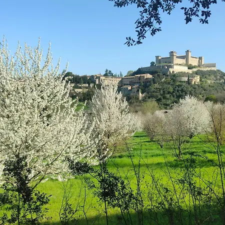 Апартаменты Dimora Lucrezia *